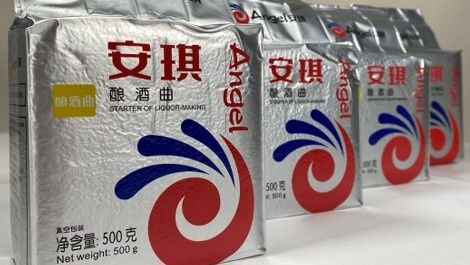 Levadura alcohólica Kodzi Angel Leaven