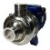 Wasserkreiselpumpe BB500/220, AISI304, 380V/50Hz, 2900