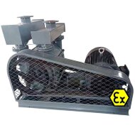 Вакуумный насос 2BE1-152 с EX двигателем 18,5 кВт, 3 фазы, 380В, 50 Гц, ременное соединение, AISI 304 Вакуумный насос 2BE1-152 с EX двигателем 18,5 кВт, 3 фазы, 380В, 50 Гц, ременное соединение, AISI 304