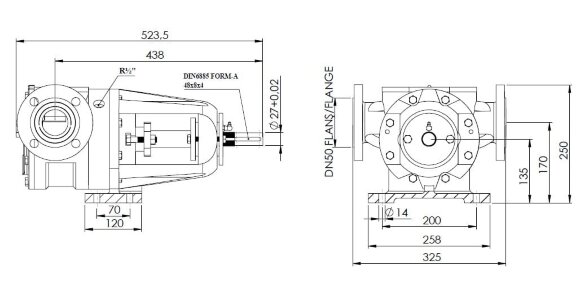 Pompe à engrenages Kupar KIP 2 pouces-Y pour le chocolat, 2.5-14 m3/h