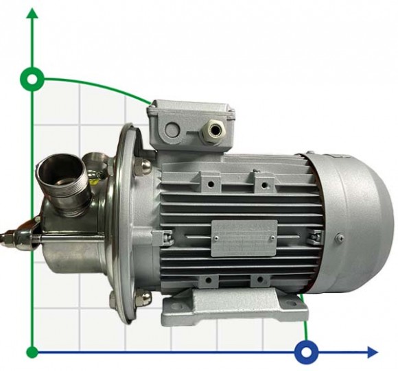 Pumpe zum Pumpen von Sonnenblumenöl AlphaDynamic AD40.1/01 2,2 kW Impeller