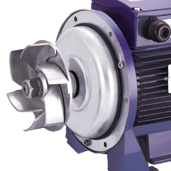 Pump for industrial washing systems BK200D, 1.5kW, AISI304, 220V/50Hz, 2900 with open impeller