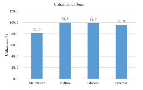 Angel AM-1 distiller's yeast for single malt whiskey, package-0.5 kg Angel AM-1 distiller's yeast for single malt whiskey, package-0.5 kg