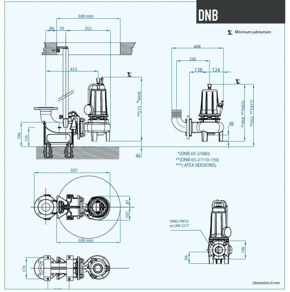 Погружний насос Dreno DNB-EX 65-2/080 T з двоканальним S-подібним робочим колесом