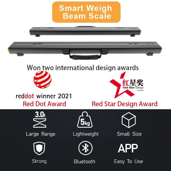 Portable strain gauge pallet scales with Bluetooth AD1 up to 3000 kg (2 scale)