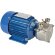 Pompe vortex pour sirop LIVERANI EP NEOS 3/4 T MP + BY-PASS, 36 l/min, CC/24 V, 0,35 kW, 2800 rpm, AISI 316, Seal Widia-SiC-Viton Pompe vortex pour sirop LIVERANI EP NEOS 3/4 T MP + BY-PASS, 36 l/min, CC/24 V, 0,35 kW, 2800 rpm, AISI 316, Seal Widia-SiC-Viton