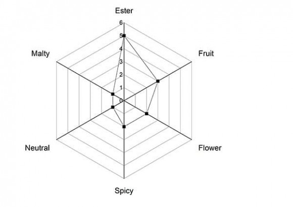 Levadura Angel CS31 para cerveza belga, paquete - 0,5 kg Levadura Angel CS31 para cerveza belga, paquete - 0,5 kg