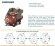 Dmuchawa RUUT BLOWER Q 1500 (DN 150), 1600m3/h