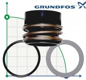 Junta de eje Grundfos BAQE GG D55 GRUNDFOS TP/NB/NK art. no. 96306475