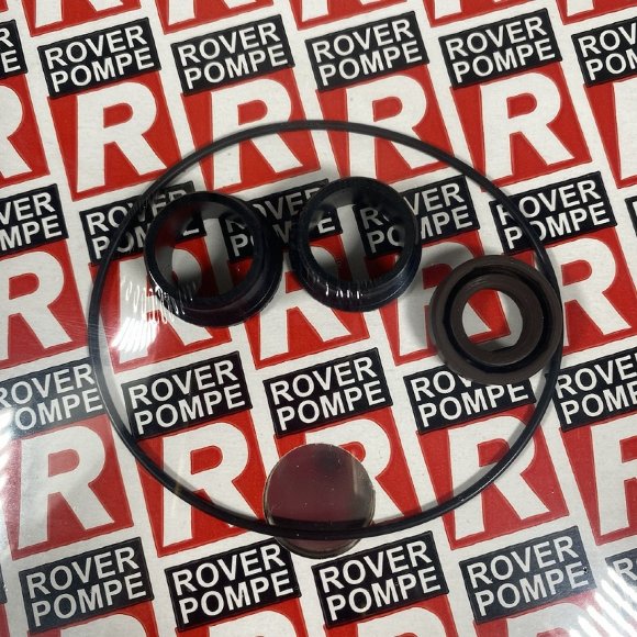 Zestaw części zamiennych zestaw uszczelek gumowych do ROVER POMPE 2013 NOVAX 20B