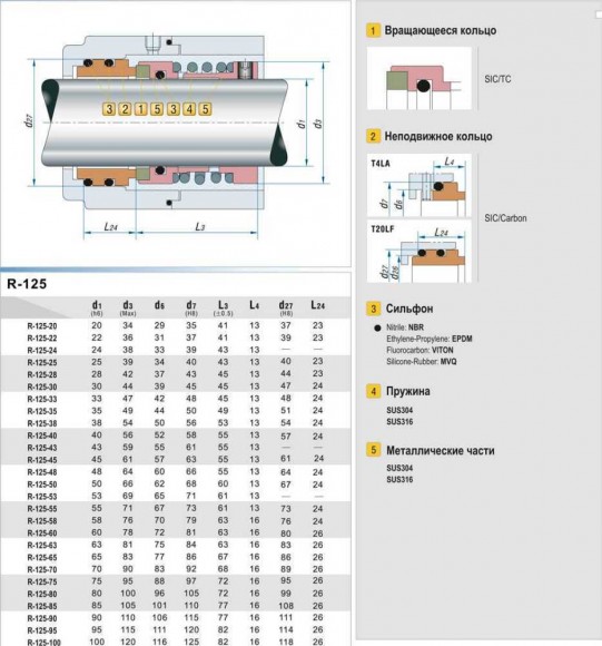 Wellendichtring R-125 40, SIC/SIC, VITON, 316, T20LF Wellendichtring R-125 40, SIC/SIC, VITON, 316, T20LF