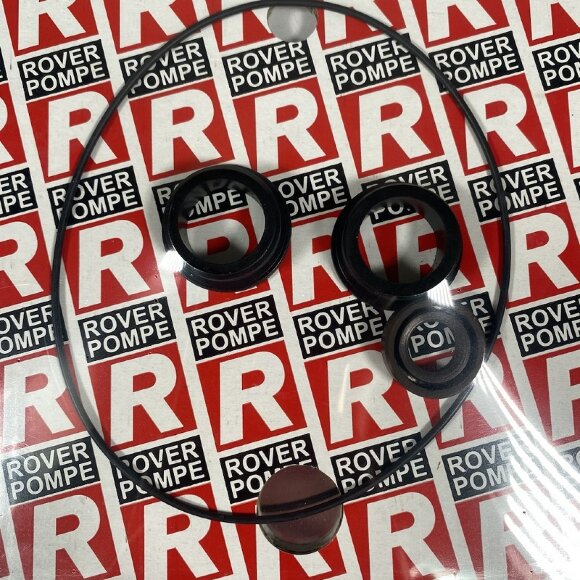 Ein Satz Dichtungen für die Pumpe ROVER POMPE 2015 NOVAX 25B Ein Satz Dichtungen für die Pumpe ROVER POMPE 2015 NOVAX 25B