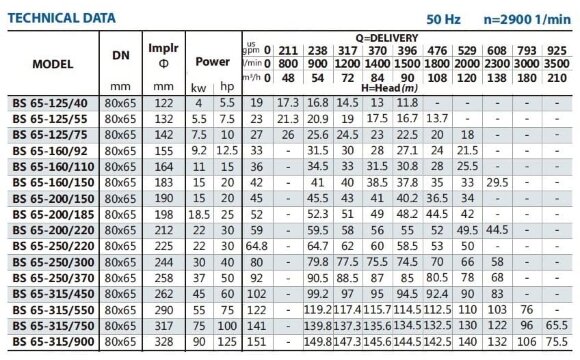 Pompe console pour irrigation BSM 65-250/220 (90/58,5), 22kW, 2900 Pompe console pour irrigation BSM 65-250/220 (90/58,5), 22kW, 2900