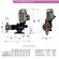 Pompe à piston à moteur pour dosage d'acide peracétique AQUA PSD, AISI 316L, 2 l/h, 8 bar, 0,18 kW, 380 V