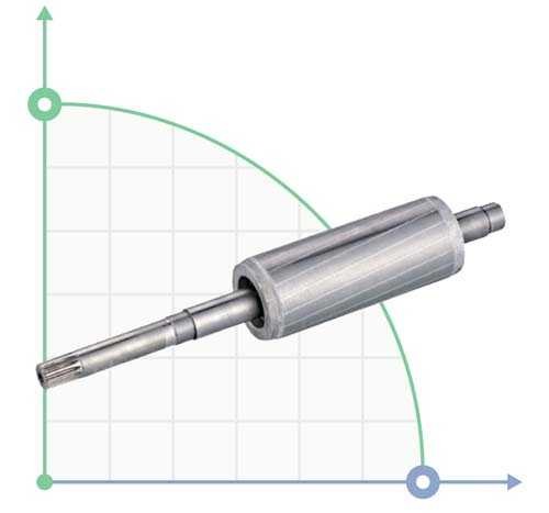Rotor de moteur électrique pour 777104 Aquatica (777104027)