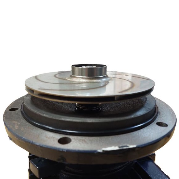 Pompa do brudnej wody BXZm 18-28-1,5kW, 2900, 220V, imp:AISI 304 (typ Andijanets ANS)