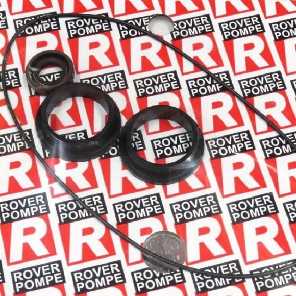 ЗИП комплект уплотнений к насосу ROVER POMPE 2015 NOVAX 30B ЗИП комплект уплотнений к насосу ROVER POMPE 2015 NOVAX 30B