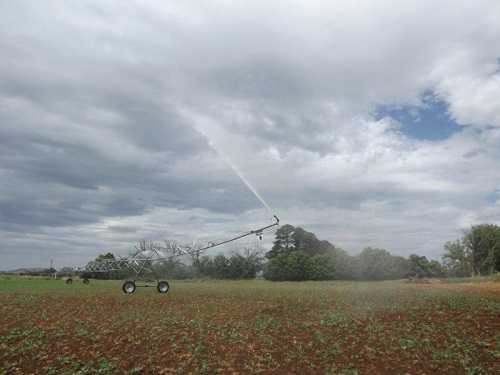 Arroseur pour arrosage, irrigation TURFJET BSP