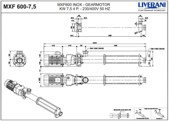 Pompe à vis pour le pompage de liquides visqueux épais LIVERANI MXF600 TF 7,5 kW, 270 tr/min, 380 V, en acier inoxydable AISI 304 Pompe à vis pour le pompage de liquides visqueux épais LIVERANI MXF600 TF 7,5 kW, 270 tr/min, 380 V, en acier inoxydable AISI 304
