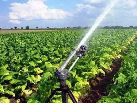 Sprinkler for irrigation TURFJET-NPT