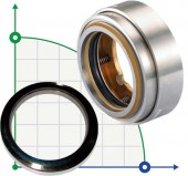 Gleitringdichtung für Pumpe Flygt R-FL.58UR 60, C, TC/TC, VITON, 304