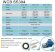 Bomba de engranajes de acero inoxidable para trasvase de queroseno WCB-100/380V 50Hz, 100 l/min, 30 m, AISI 304, 1,1 kW, 2900 rpm, Ex