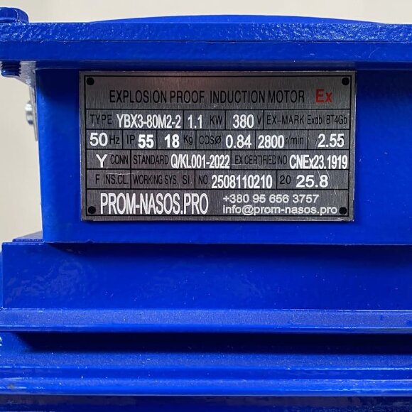 Pompa zębata ze stali nierdzewnej do przesyłu nafty WCB-100/380V 50Hz, 100 l/min, 30 m, AISI 304, 1,1 kW, 2900 obr./min, Ex Pompa zębata ze stali nierdzewnej do przesyłu nafty WCB-100/380V 50Hz, 100 l/min, 30 m, AISI 304, 1,1 kW, 2900 obr./min, Ex