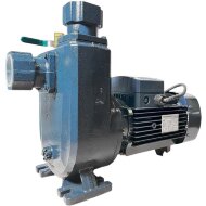 Pompa samozasysająca BXZm W25-35-3kW, 2900, 220V