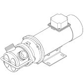 Flüssigkeitsring-Wirbelpumpe LIVERANI EP JUNIOR 1 1/4, 58 l/min, CC/12 V, 0,45 kW, 2800 U/min, AISI 316, Seal Cer.-Grafit-Viton Flüssigkeitsring-Wirbelpumpe LIVERANI EP JUNIOR 1 1/4, 58 l/min, CC/12 V, 0,45 kW, 2800 U/min, AISI 316, Seal Cer.-Grafit-Viton