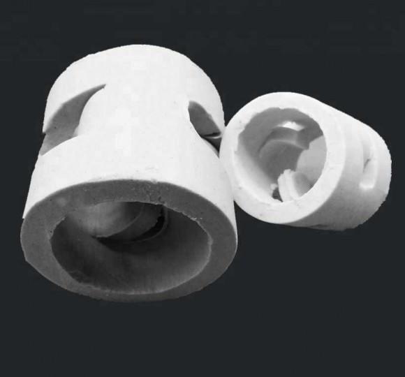 Ceramic Pall Ring, 38x38x4 mm