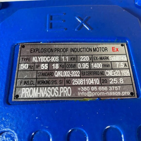 Шестеренчатый насос для моторного масла WCB-100/220В 50Гц, 50 л/мин, 30 м, AISI 304, 1,1 кВт, 1400 об/мин, Ex Шестеренчатый насос для моторного масла WCB-100/220В 50Гц, 50 л/мин, 30 м, AISI 304, 1,1 кВт, 1400 об/мин, Ex