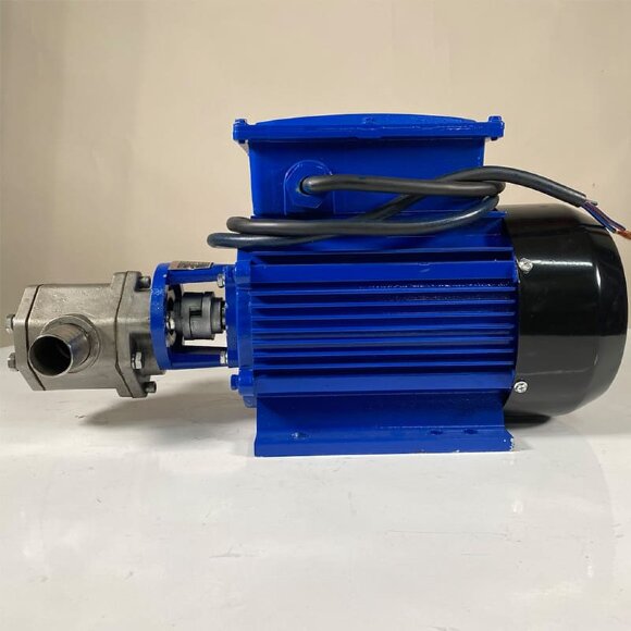 Шестеренчатый насос для моторного масла WCB-100/220В 50Гц, 50 л/мин, 30 м, AISI 304, 1,1 кВт, 1400 об/мин, Ex Шестеренчатый насос для моторного масла WCB-100/220В 50Гц, 50 л/мин, 30 м, AISI 304, 1,1 кВт, 1400 об/мин, Ex