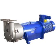 Вакуумный насос 2BV6131 Ex из нержавеющей стали AISI 316, длинная база Вакуумный насос 2BV6131 Ex из нержавеющей стали AISI 316, длинная база
