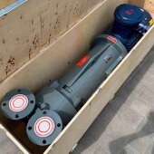 Вакуумный насос 2BV6131 Ex из нержавеющей стали AISI 316, длинная база Вакуумный насос 2BV6131 Ex из нержавеющей стали AISI 316, длинная база