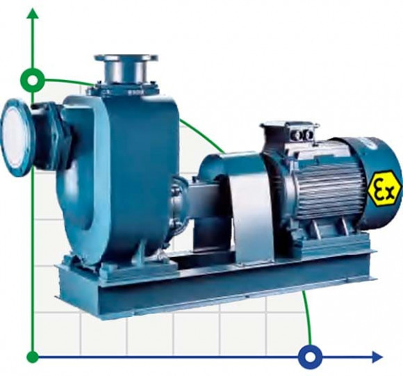 Pompa samozasysająca do oleju napędowego BZWB 300-800-20/4, 75kW, 1450, Ex, imp:AISI 304