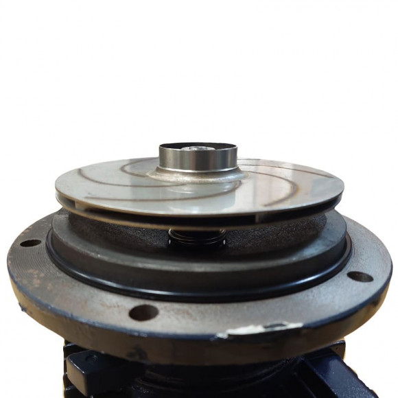 Насос самовсасывающий BXZ 25-45-4kW, 2900, 380V, imp:AISI 304 Насос самовсасывающий BXZ 25-45-4kW, 2900, 380V, imp:AISI 304