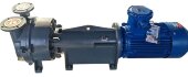 Вакуумный насос 2BV6161 Ex (AISI 316), длинная база Вакуумный насос 2BV6161 Ex (AISI 316), длинная база