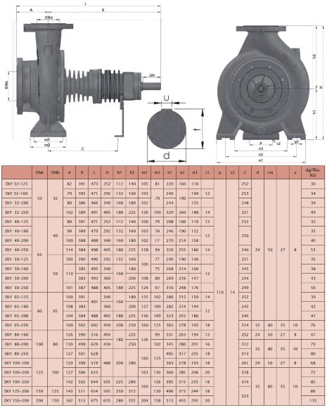 Heißölpumpe EMSE EKY 50-160, 11 kW, 2900, ohne Motor
