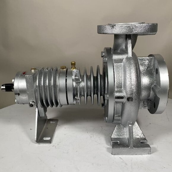 Heißölpumpe EMSE EKY 50-160, 11 kW, 2900, ohne Motor