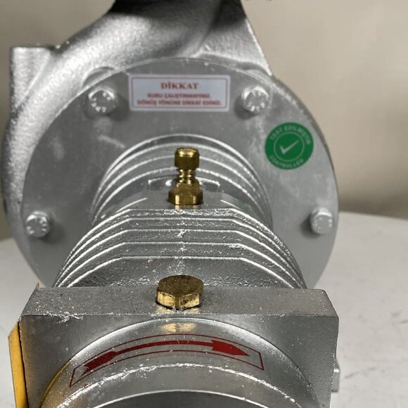 Heißölpumpe EMSE EKY 50-160, 11 kW, 2900, ohne Motor