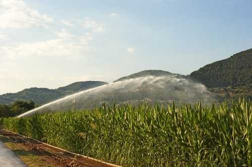 Sprinkler für Bewässerung Dustjet 27º BSP