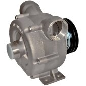 Рідинно-кільцевий насос для перекачування оцту LIVERANI NAUTIC 70 Inox FM 12V, 500 л/хв, AISI 316, без двигуна Рідинно-кільцевий насос для перекачування оцту LIVERANI NAUTIC 70 Inox FM 12V, 500 л/хв, AISI 316, без двигуна