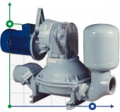 Caffini - Libellula Lib 1-4 Membranpumpe mit Elektromotor auf Rahmen Caffini - Libellula Lib 1-4 Membranpumpe mit Elektromotor auf Rahmen