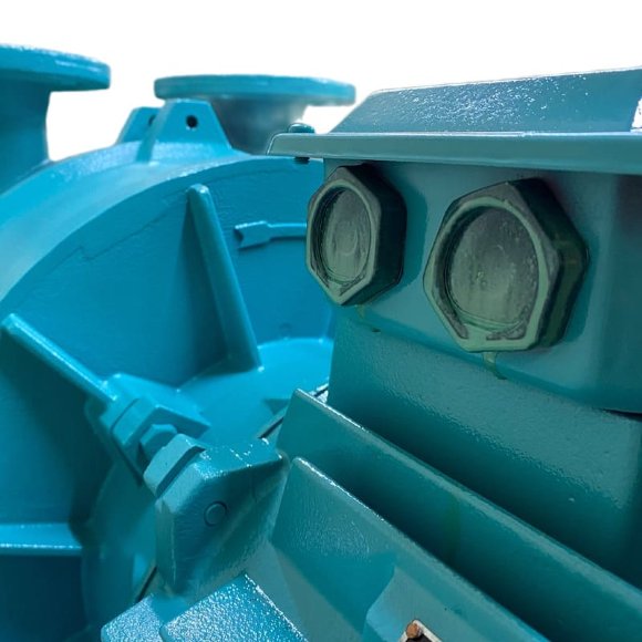 2BV5161 вакуумный насос водокольцевой