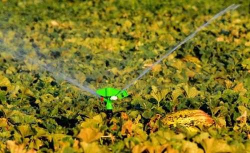 Aspersor para riego, riego ATOM15 LA LF