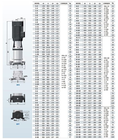 BVS 2-18, 2,2 kW, AISI 304 насос многоступенчатый BVS 2-18, 2,2 kW, AISI 304 насос многоступенчатый