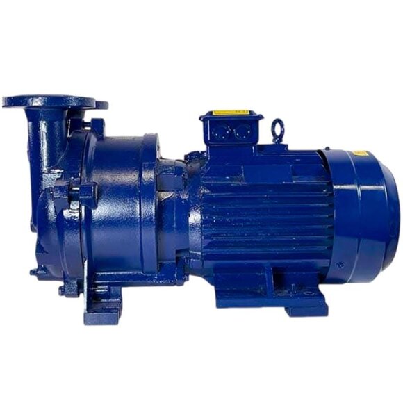 2BV5111 вакуумный насос для выпарки 2BV5111 вакуумный насос для выпарки