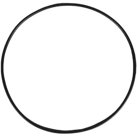 O-Ring Dichtung des Pumpengehäuses BZ 40-200/5,5-7,5