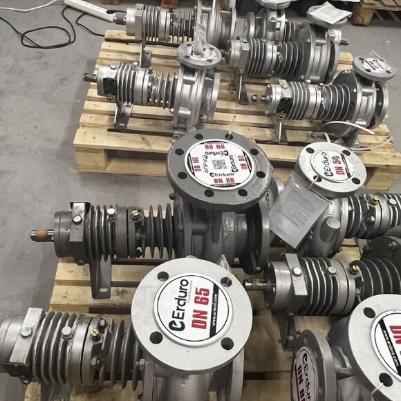 Pumpe für Heißöl BTKF-K 80-250 (1500) ohne Motor