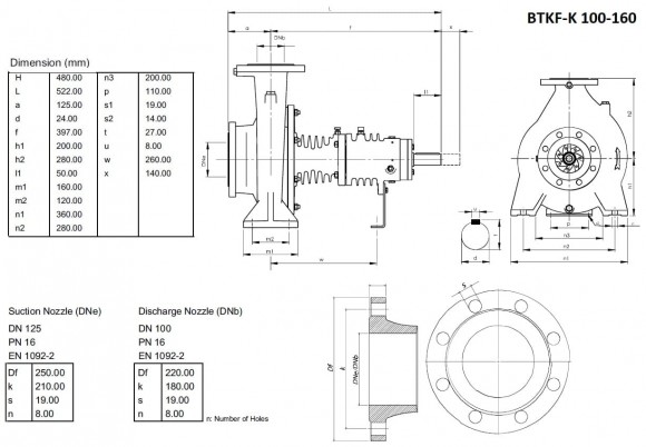 Hot oil pump BTKF-K 100-160 (1500)
